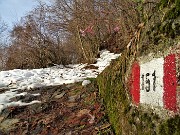 15 Qui il sent. 151 lascia la stradetta per proseguire come vero sentiero-mulattiera nel bosco